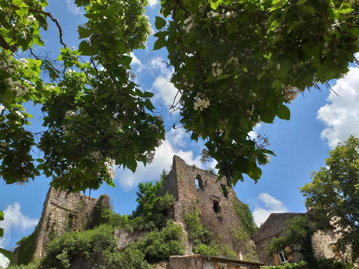 Les Pentes Du Chateau De Retourtour لاماستر المظهر الخارجي الصورة